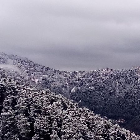 Shimla Regency Hotel Eksteriør billede